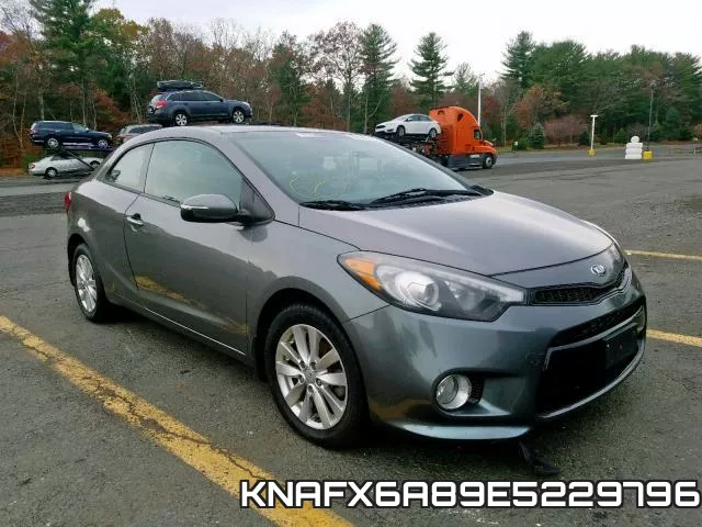 KNAFX6A89E5229796