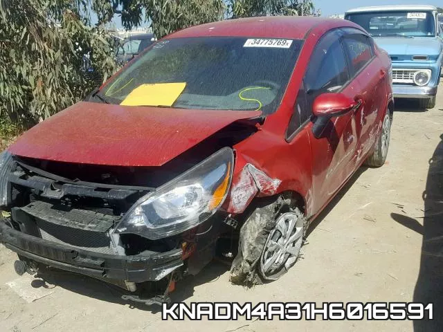 KNADM4A31H6016591