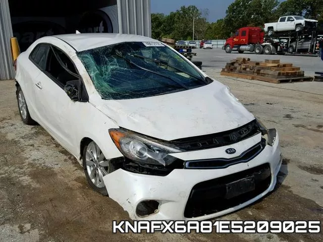 KNAFX6A81E5209025
