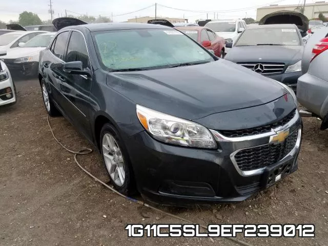 1G11C5SL9EF239012