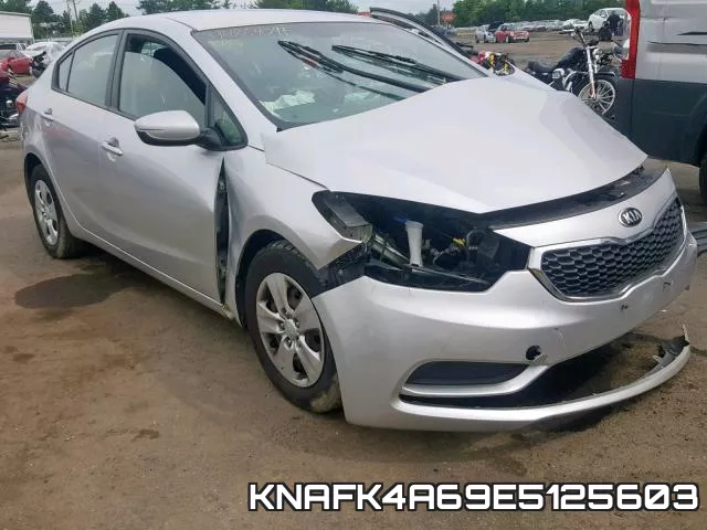 KNAFK4A69E5125603