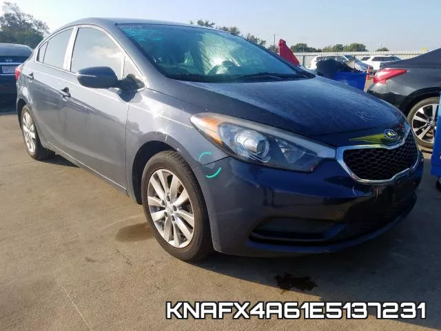 KNAFX4A61E5137231