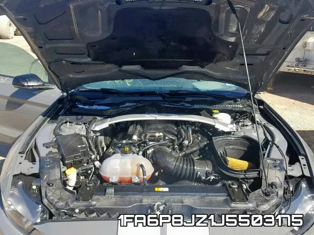 1FA6P8JZ1J5503175_7.webp