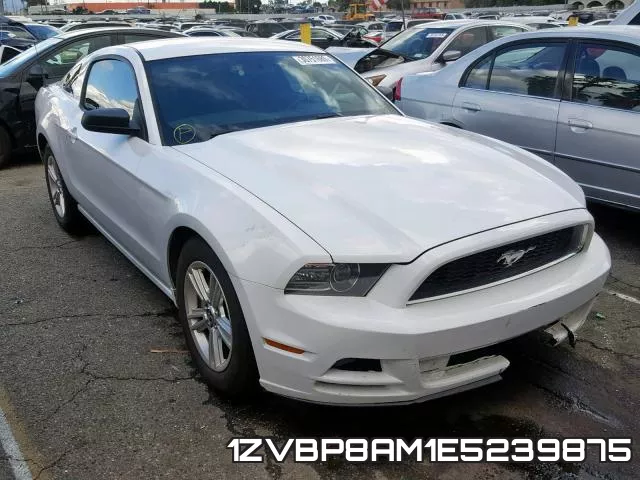 1ZVBP8AM1E5239875
