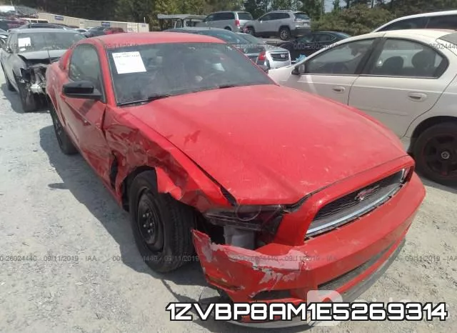 1ZVBP8AM1E5269314