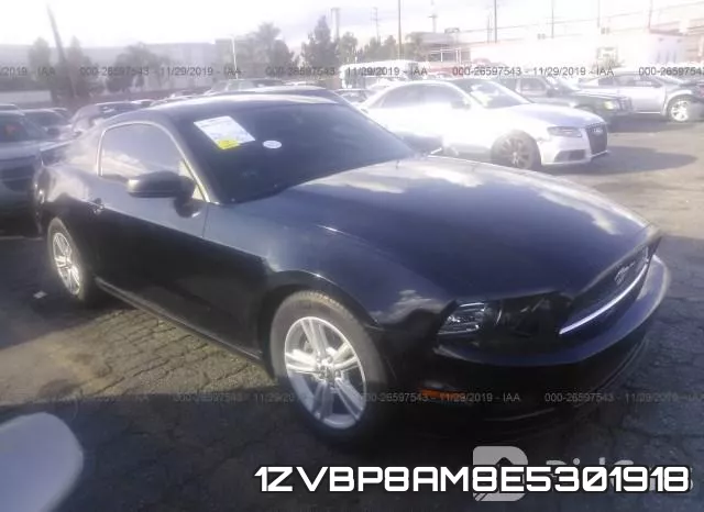 1ZVBP8AM8E5301918