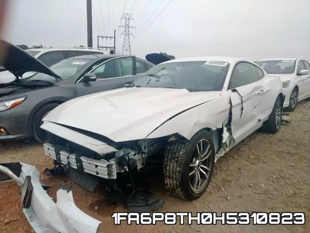 1FA6P8TH0H5310823_2.webp