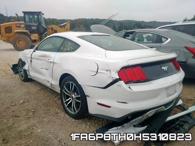 1FA6P8TH0H5310823_3.webp