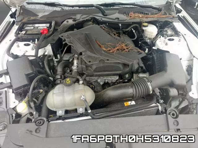 1FA6P8TH0H5310823_7.webp
