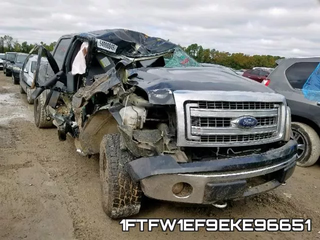 1FTFW1EF9EKE96651
