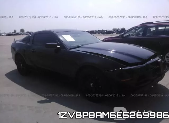 1ZVBP8AM6E5269986