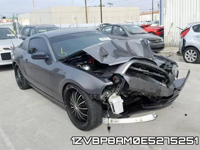 1ZVBP8AM0E5275251