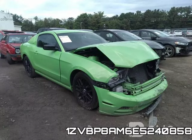 1ZVBP8AM6E5240858