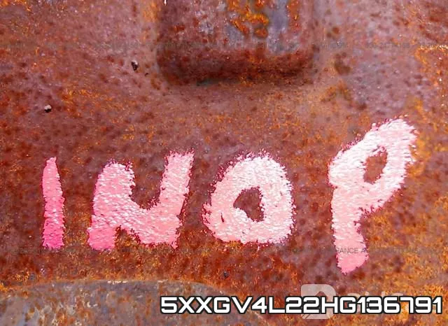 5XXGV4L22HG136791_7.webp