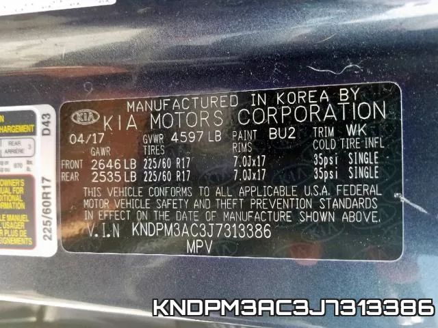 KNDPM3AC3J7313386_10.webp