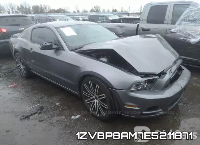 1ZVBP8AM7E5211871