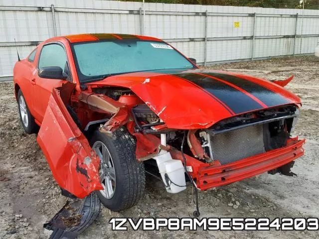 1ZVBP8AM9E5224203