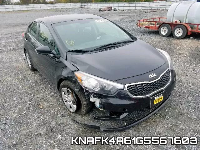 KNAFK4A61G5567603