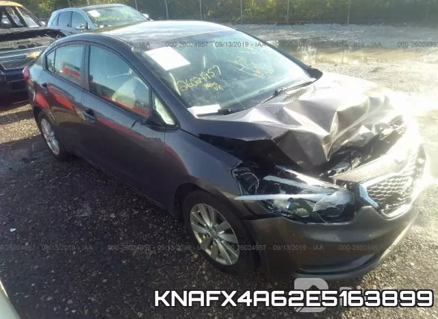 KNAFX4A62E5163899