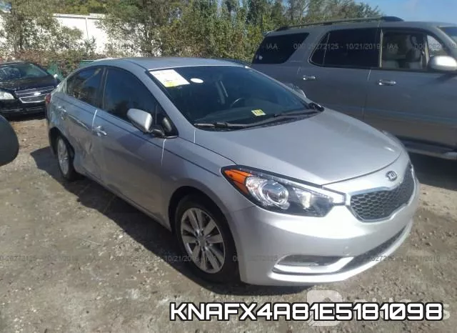 KNAFX4A81E5181098