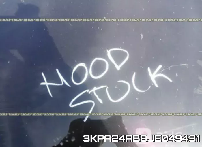 3KPA24AB8JE049431_10.webp