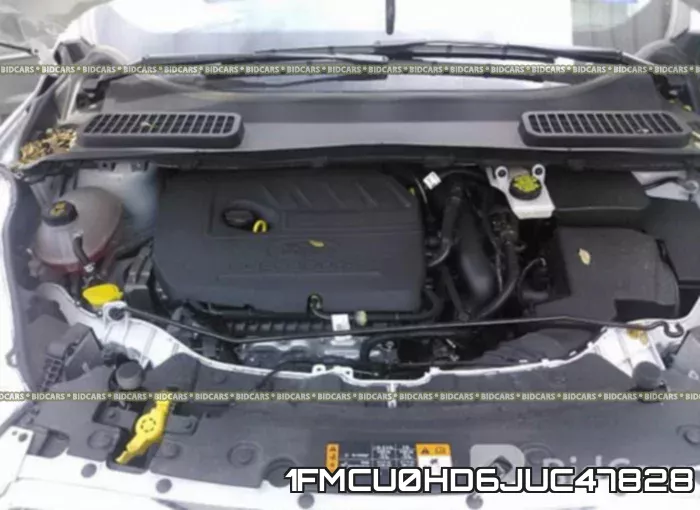 1FMCU0HD6JUC47828_10.webp
