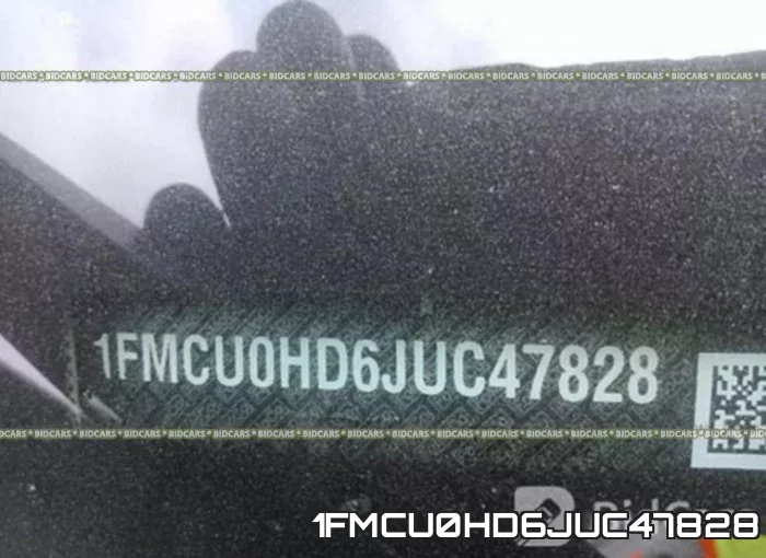 1FMCU0HD6JUC47828_9.webp