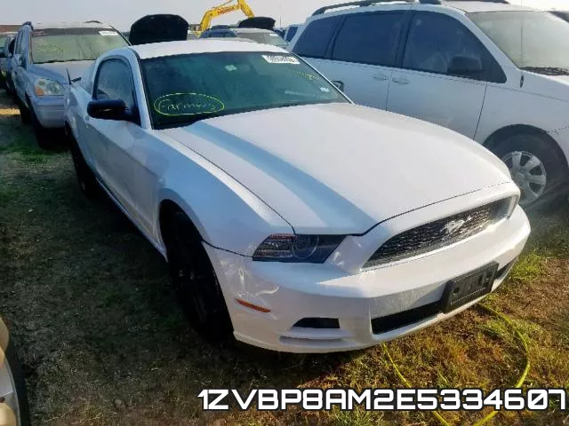 1ZVBP8AM2E5334607