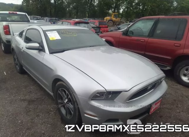 1ZVBP8AMXE5222556