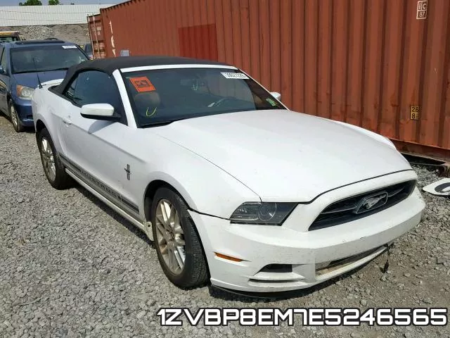 1ZVBP8EM7E5246565