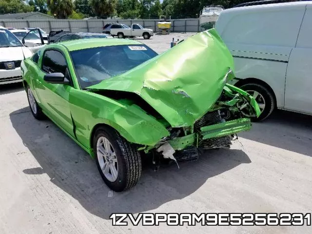 1ZVBP8AM9E5256231