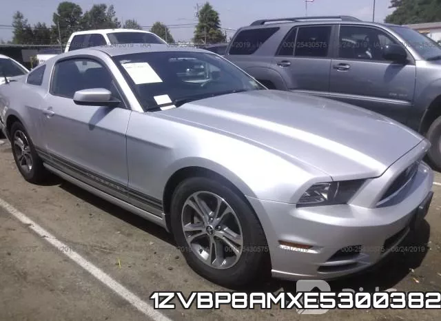 1ZVBP8AMXE5300382