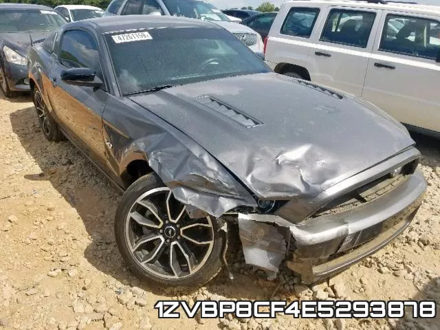 1ZVBP8CF4E5293878