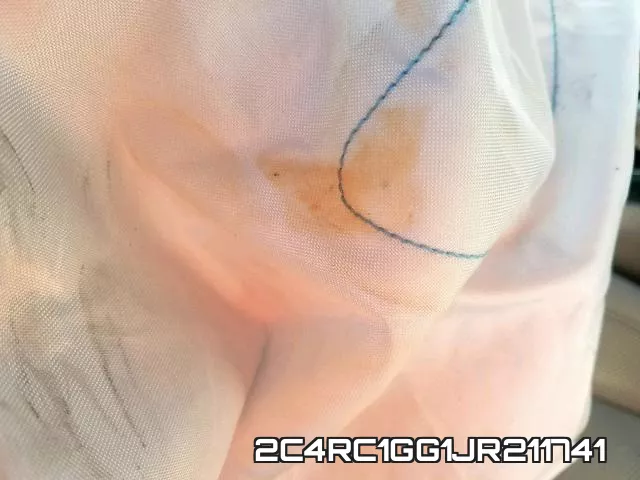 2C4RC1GG1JR211741_9.webp