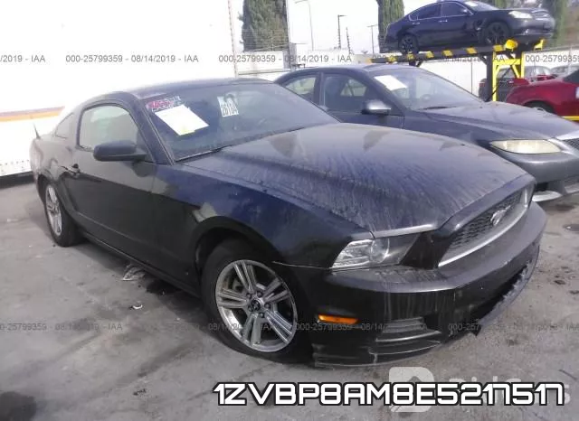 1ZVBP8AM8E5217517