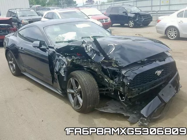 1FA6P8AMXG5306809