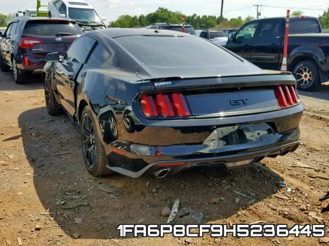 1FA6P8CF9H5236445_3.webp