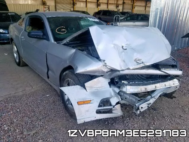 1ZVBP8AM3E5291783