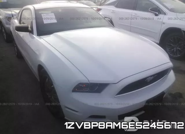 1ZVBP8AM6E5245672