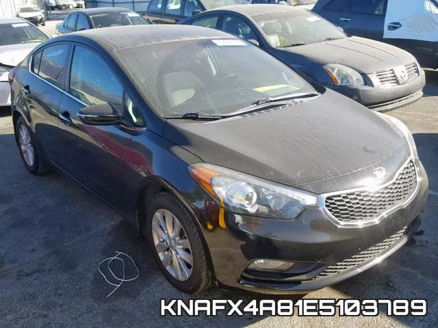 KNAFX4A81E5103789