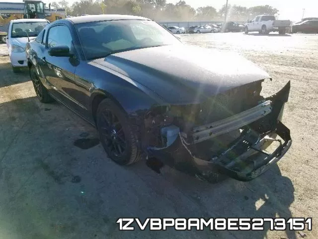 1ZVBP8AM8E5273151
