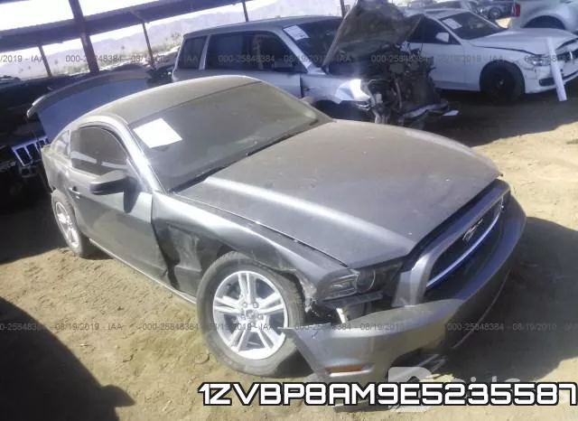 1ZVBP8AM9E5235587