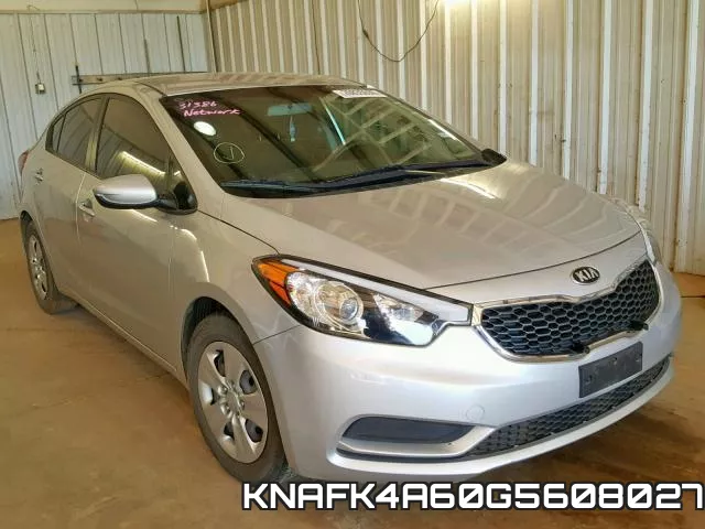 KNAFK4A60G5608027