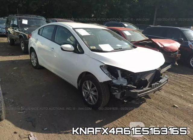KNAFX4A61E5163165