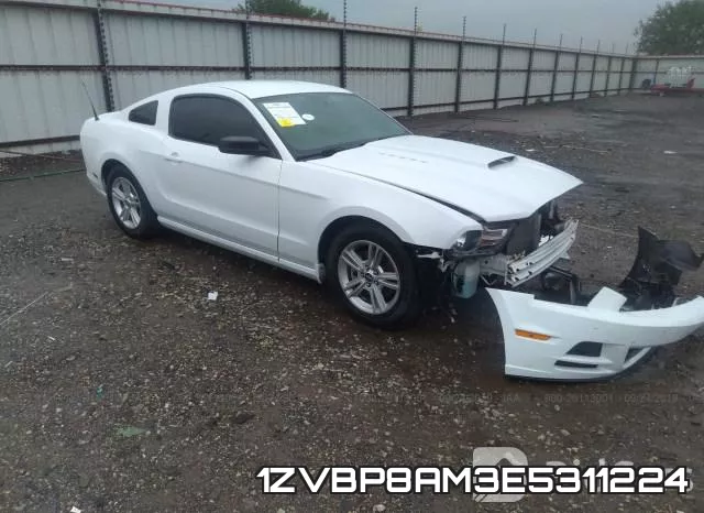 1ZVBP8AM3E5311224