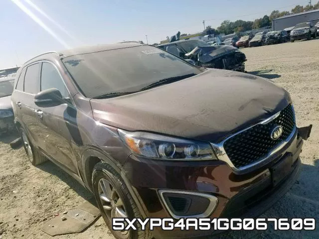 5XYPG4A51GG067609