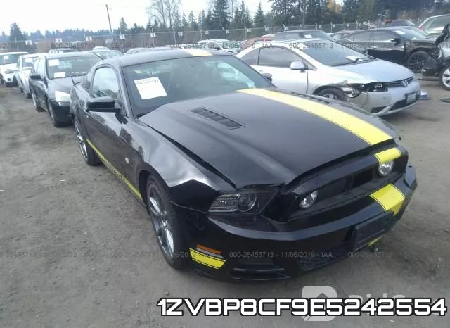 1ZVBP8CF9E5242554