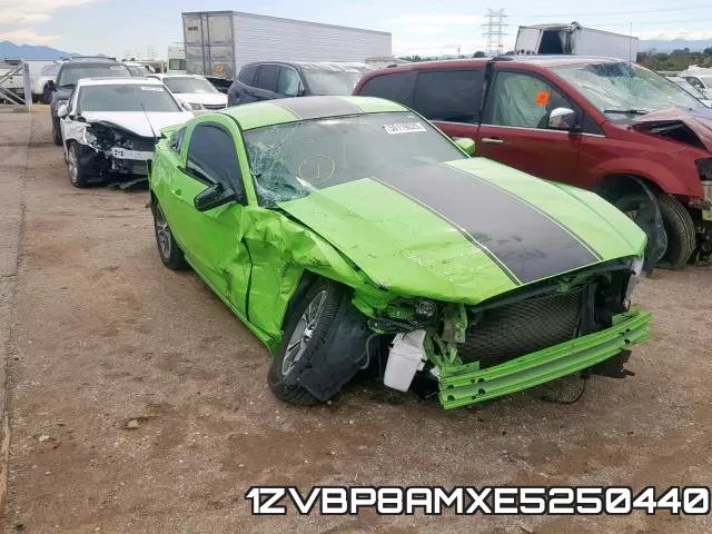 1ZVBP8AMXE5250440