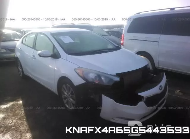 KNAFX4A65G5443593
