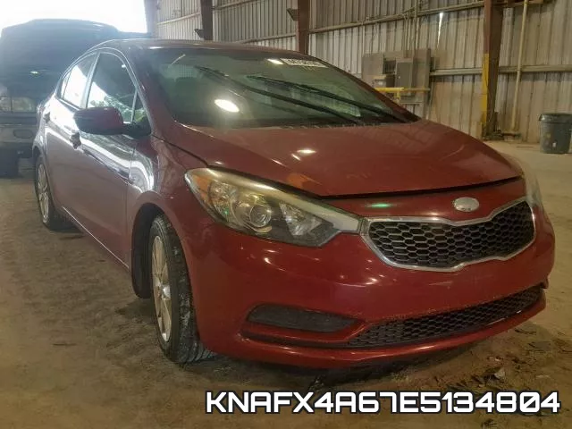 KNAFX4A67E5134804